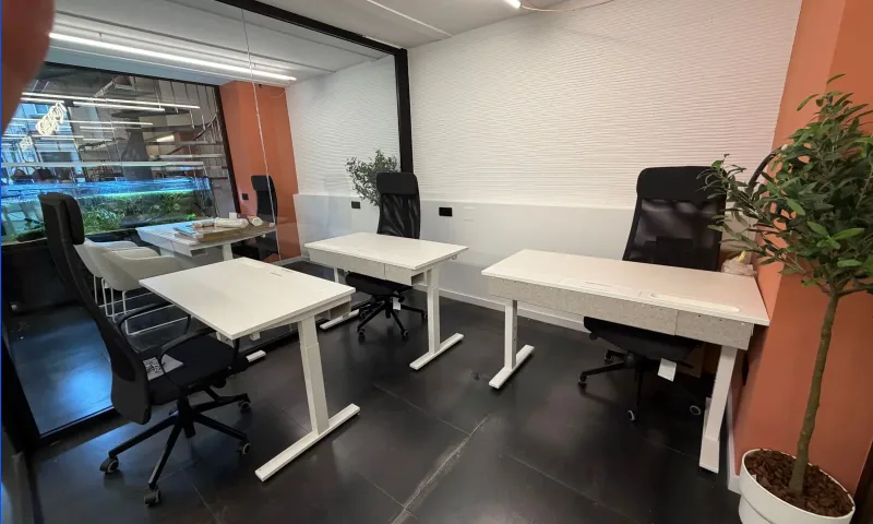 Oficina Semente